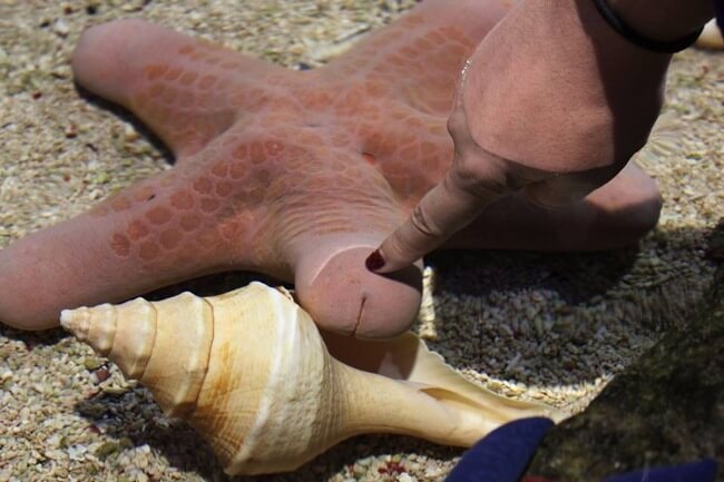 dirty mind pictures dirty mind pics 19